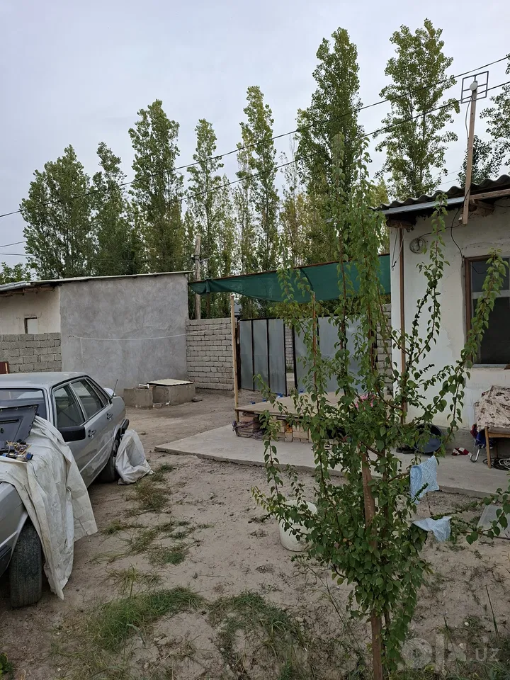 Tashkent Region