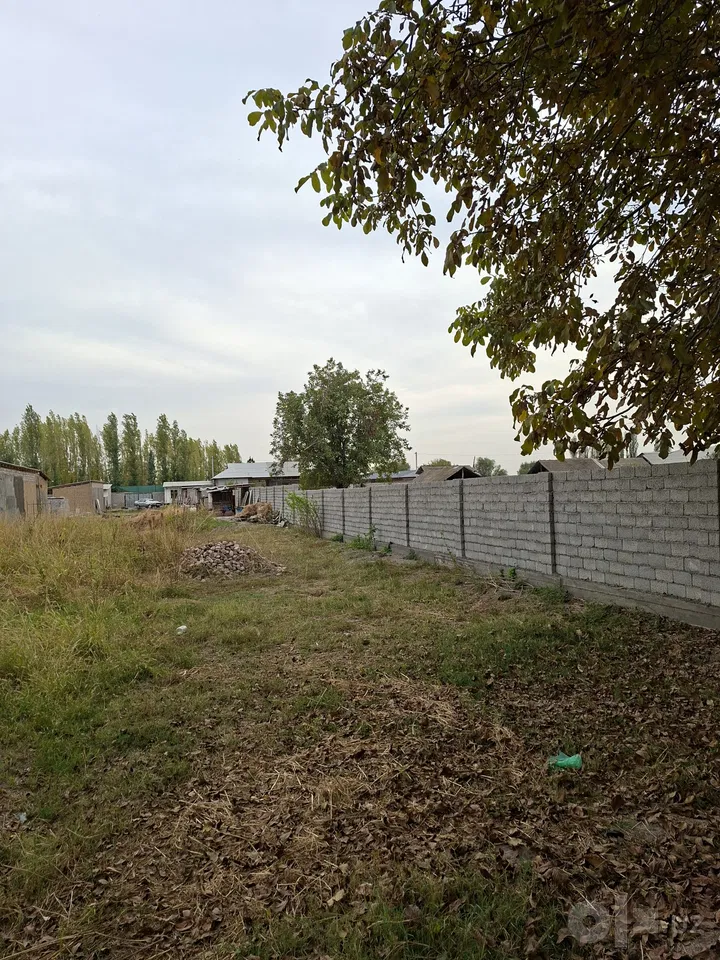 Tashkent Region