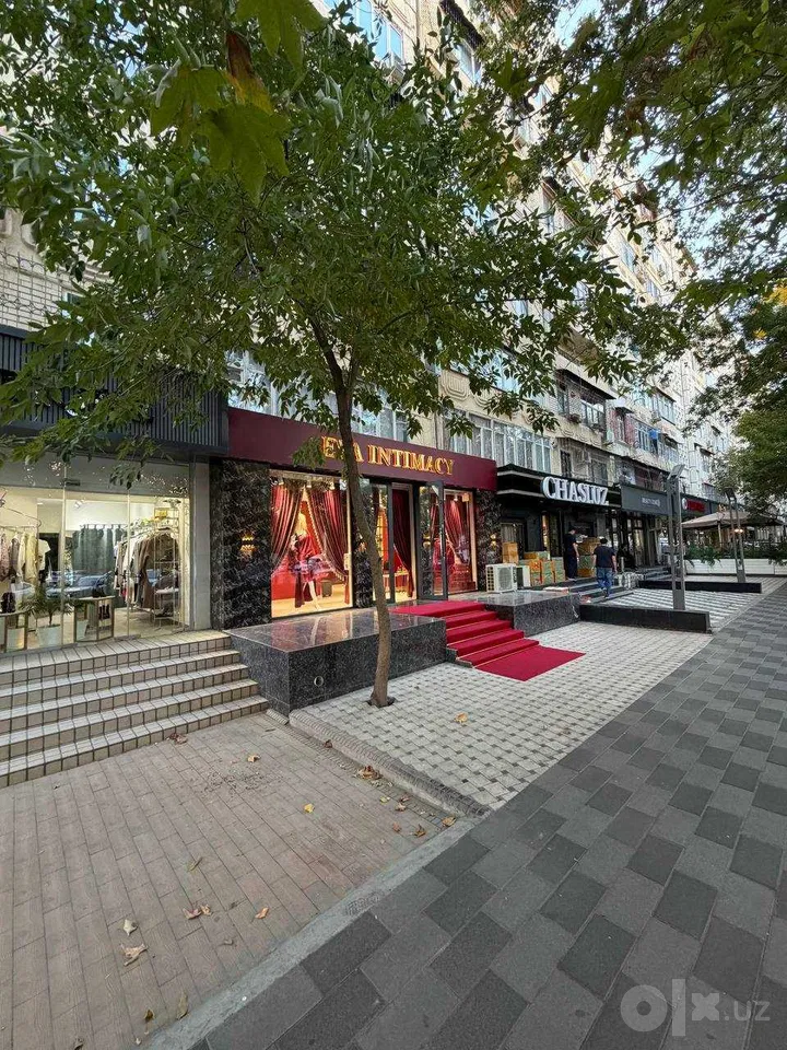 Tashkent City, Mirobod District