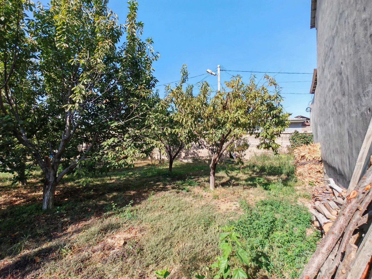 Tashkent Region, Zangiota District