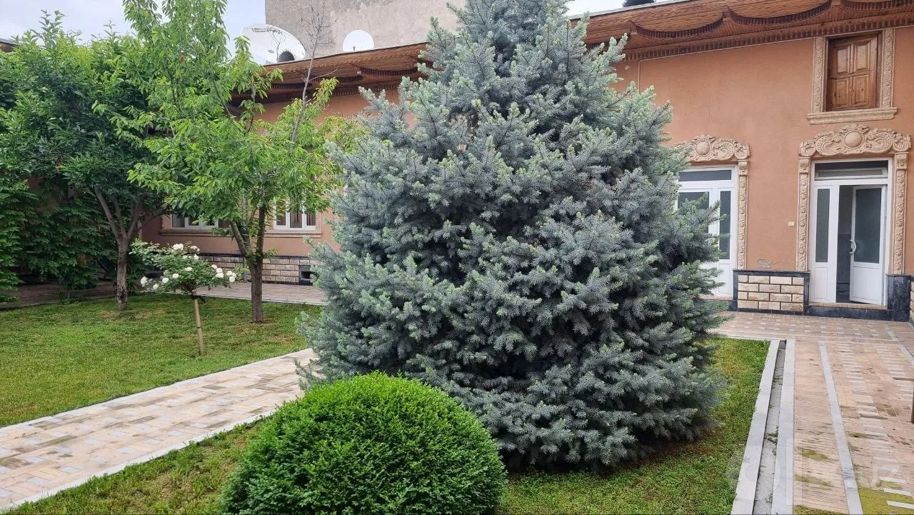 Tashkent Region, Zangiota District