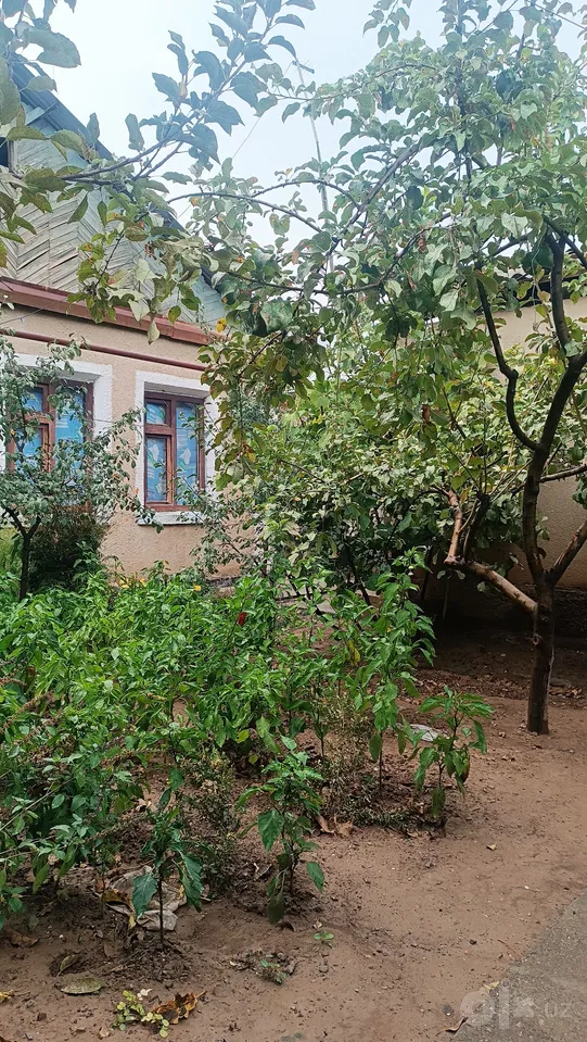 Tashkent Region, Bo'stonliq District