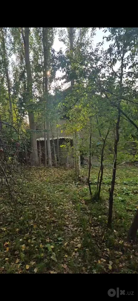 Tashkent Region, Angren