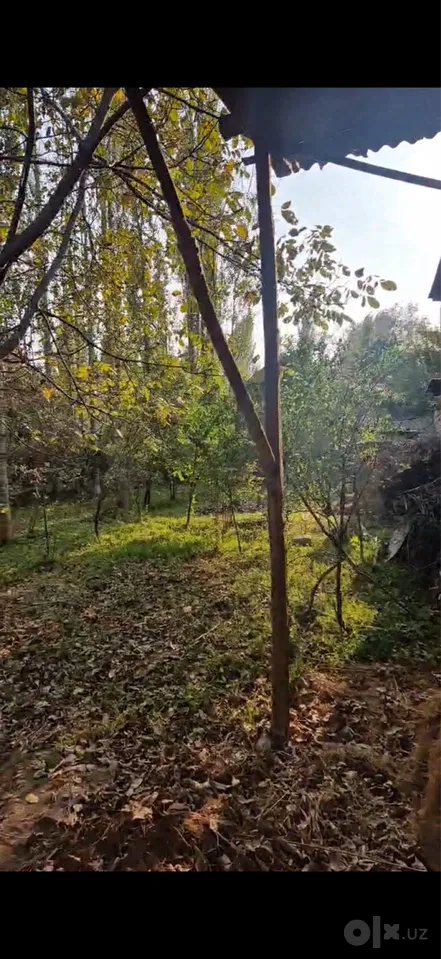 Tashkent Region, Angren