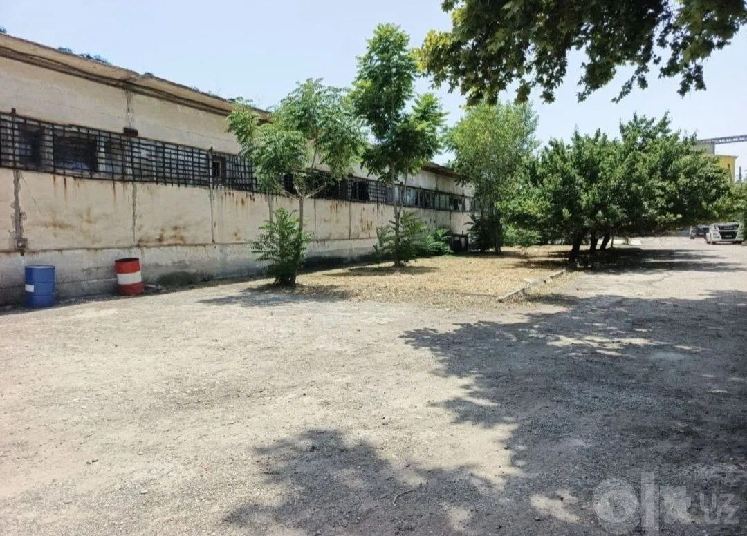 Tashkent Region, Yangiyo'l