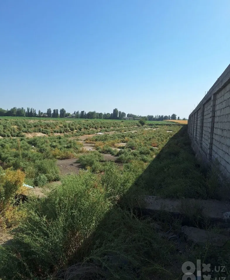Tashkent Region, Zangiota District
