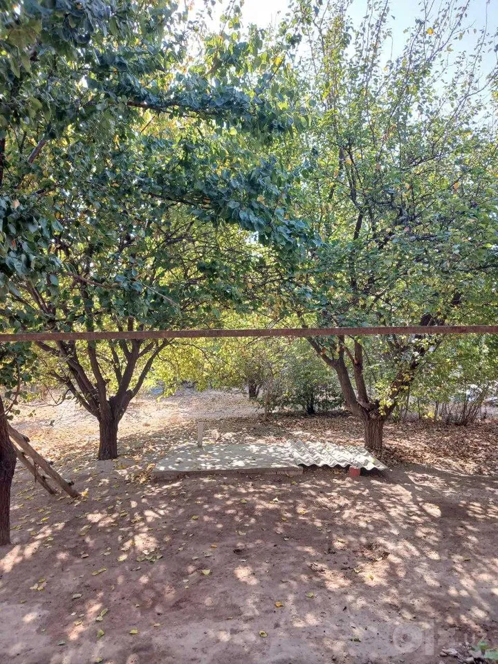 Tashkent Region, Nurafshon