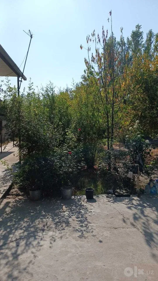 Tashkent Region, Nurafshon