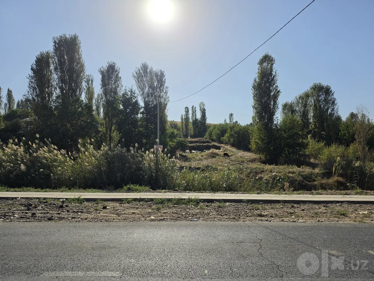 Tashkent Region, Chirchiq