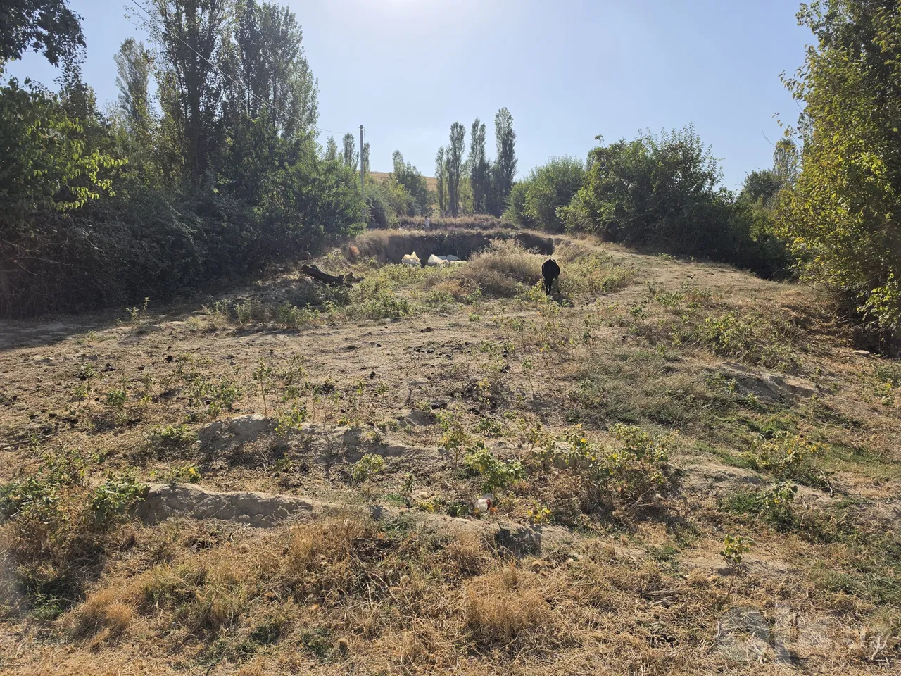 Tashkent Region, Chirchiq