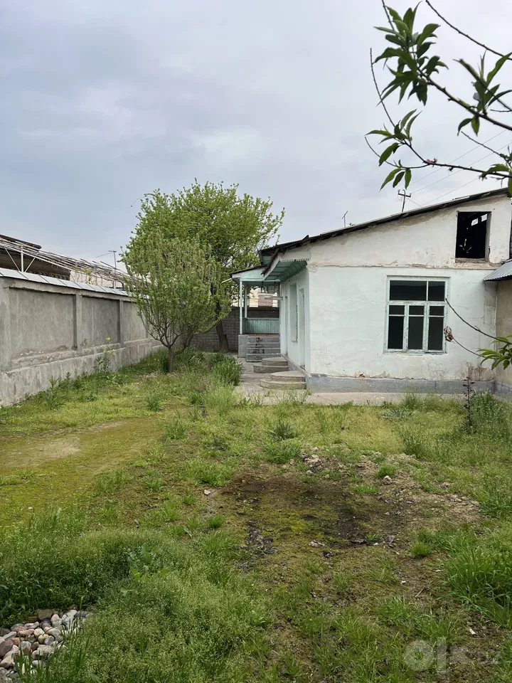 Tashkent City, Olmazor District