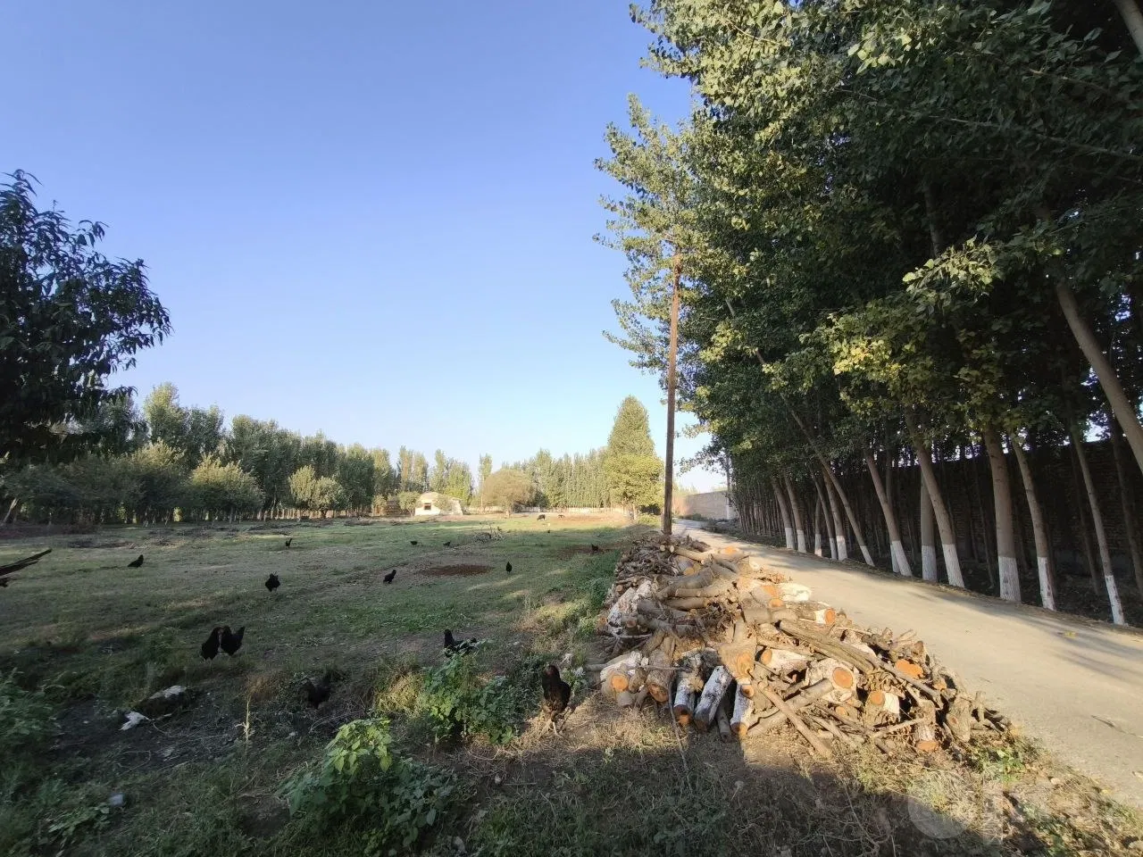 Fergana Region, Kokand