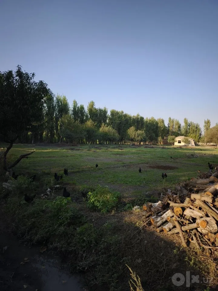 Fergana Region, Kokand