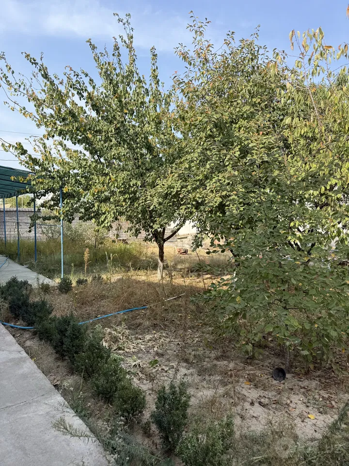 Tashkent City, Sergeli District