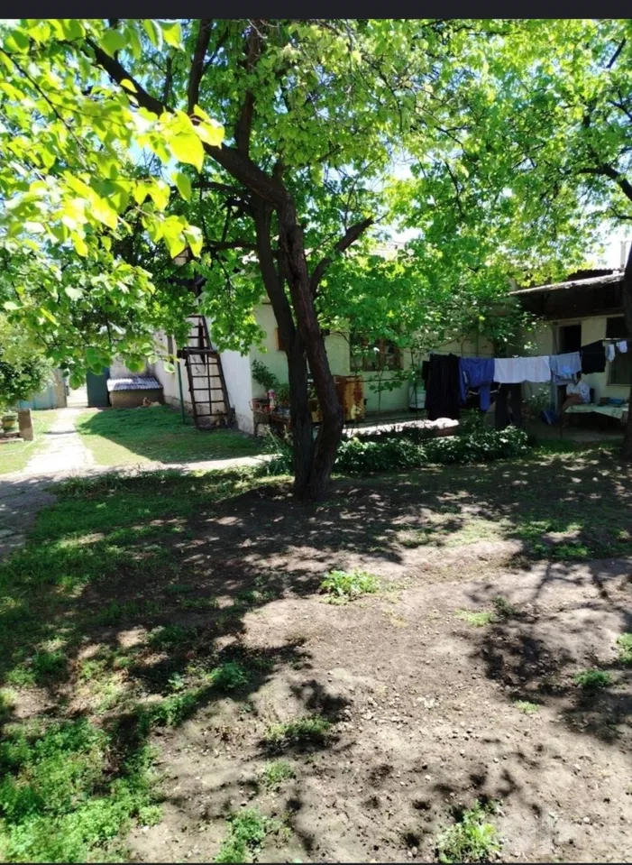 Tashkent City, Sergeli District