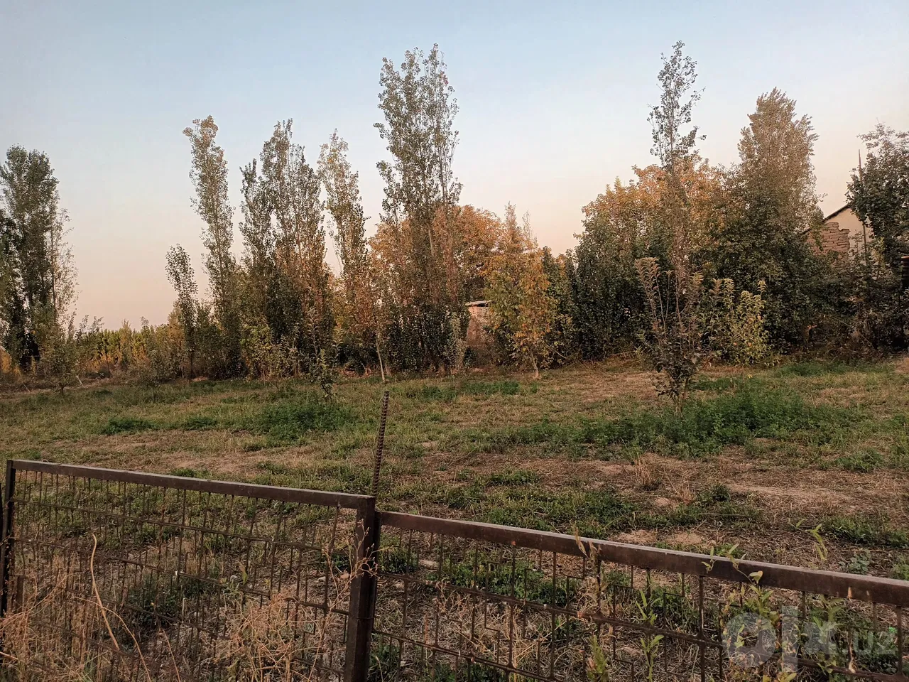 Tashkent Region, Nurafshon