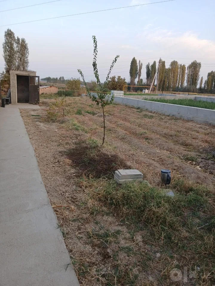 Tashkent Region, Nurafshon