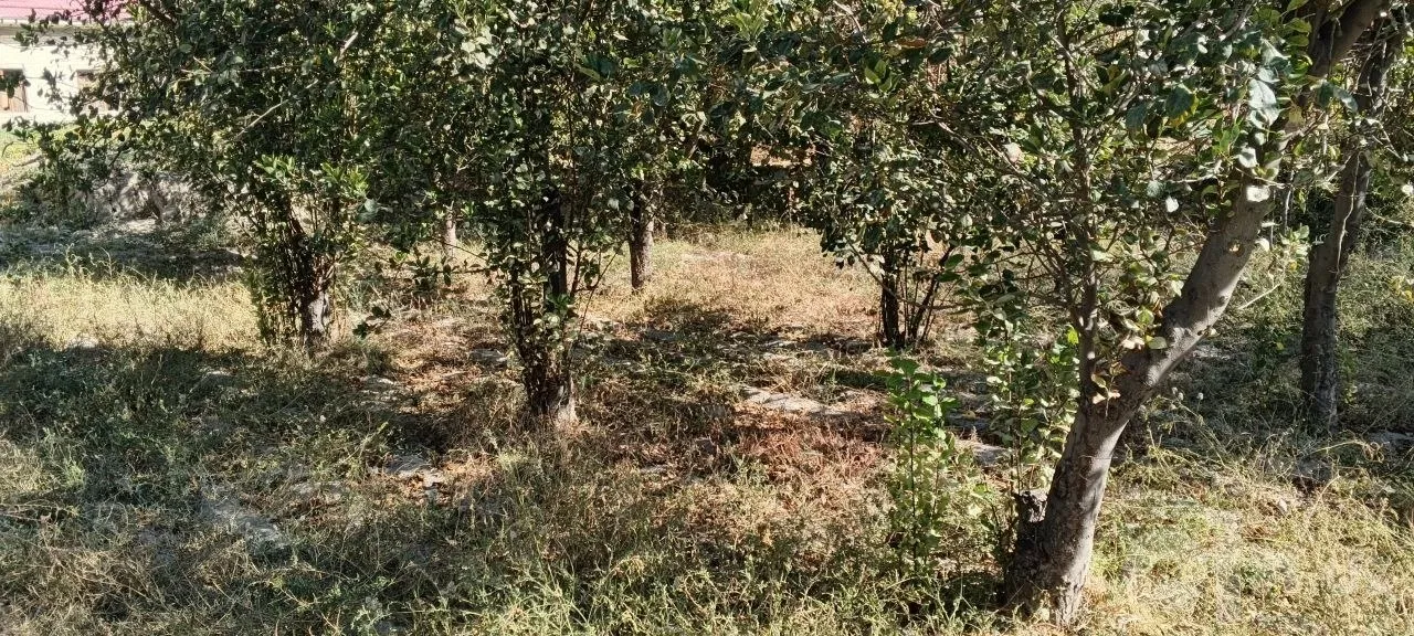 Navoiy Region, Karmana District