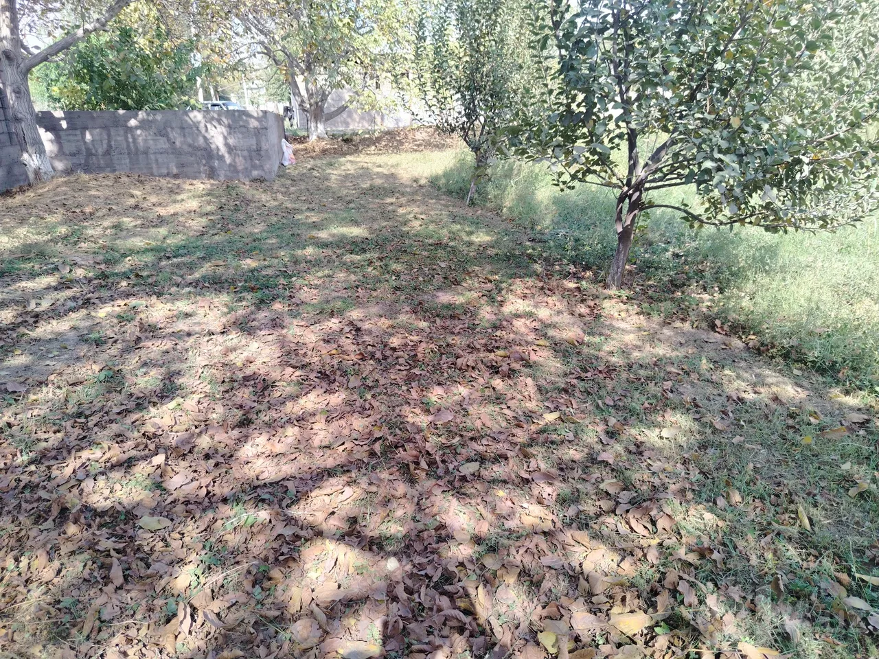 Tashkent Region, Ohangaron District