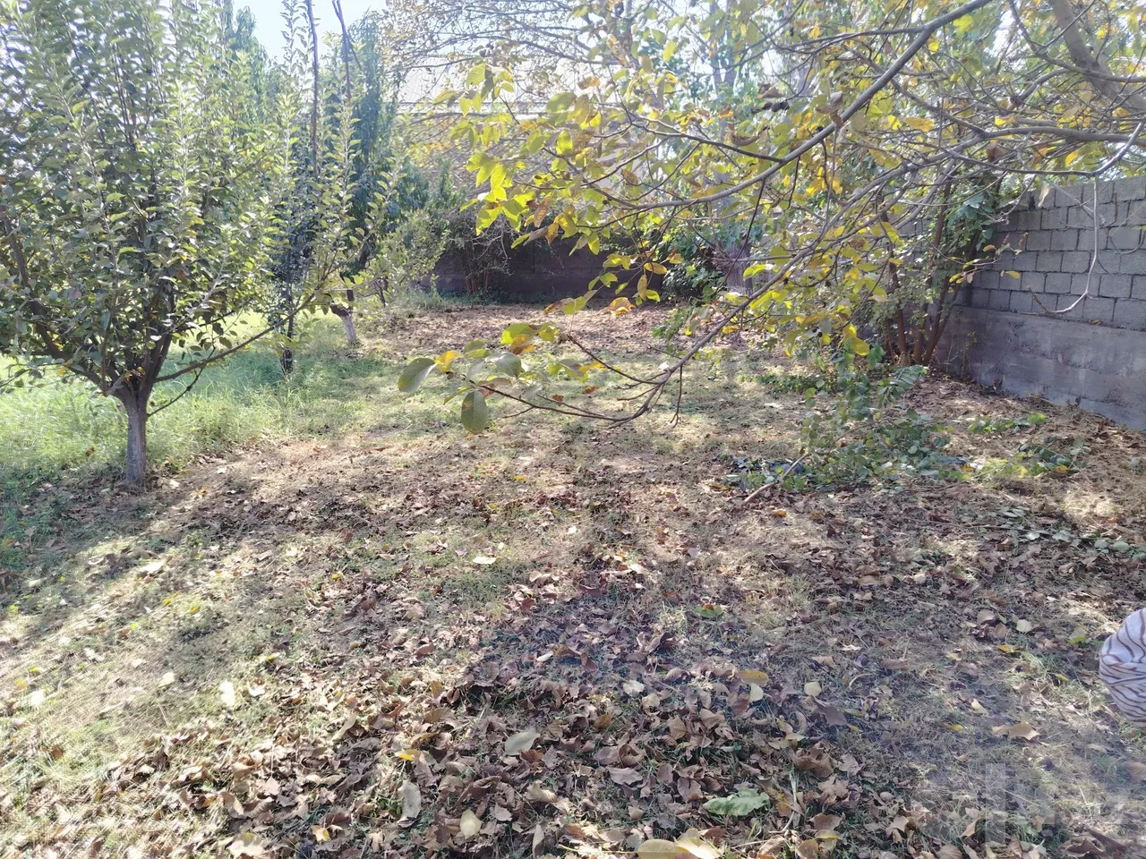 Tashkent Region, Ohangaron District