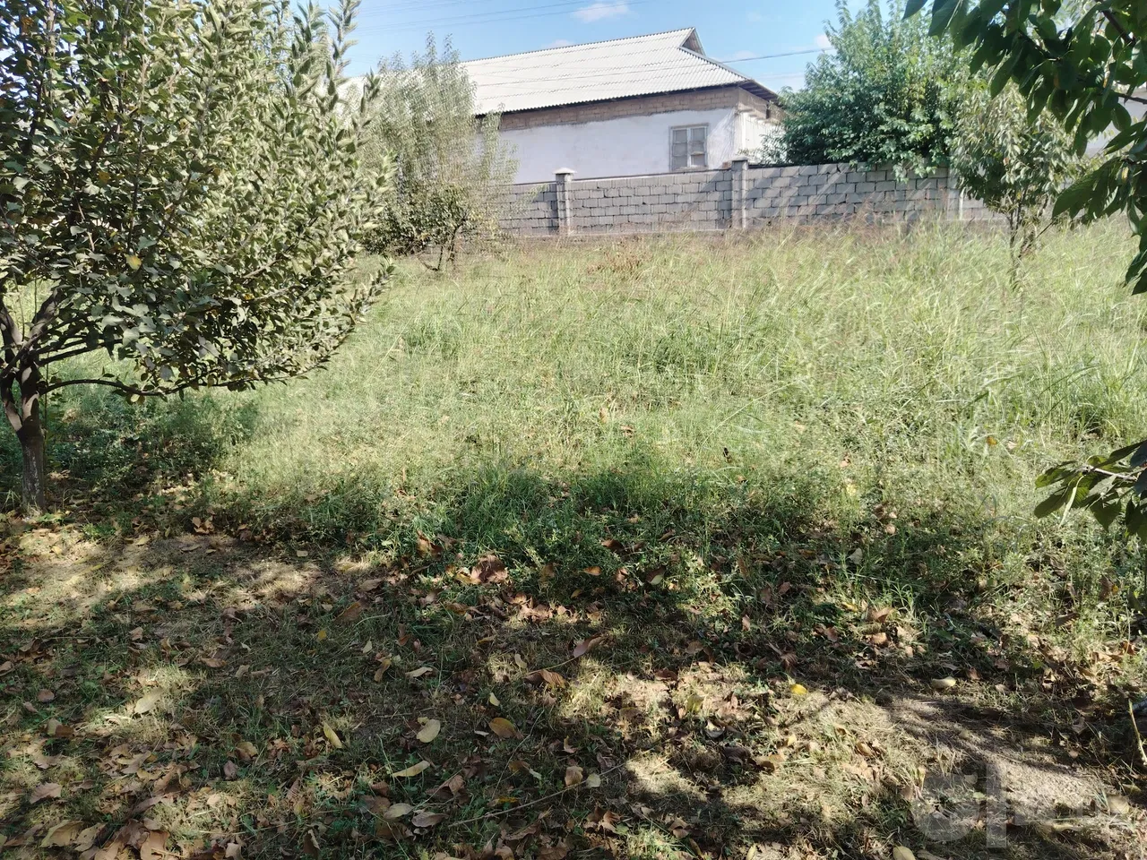Tashkent Region, Ohangaron District
