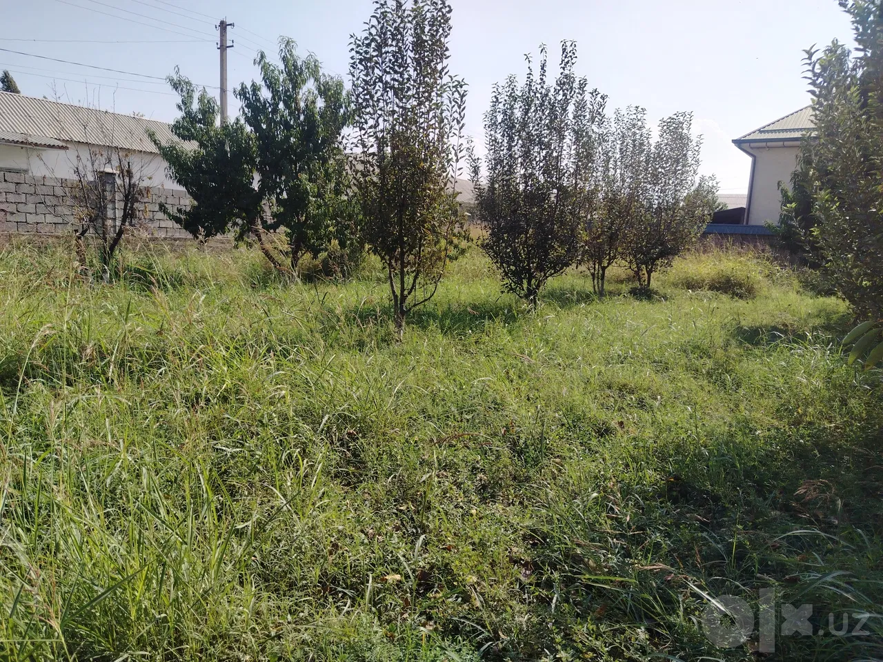 Tashkent Region, Ohangaron District