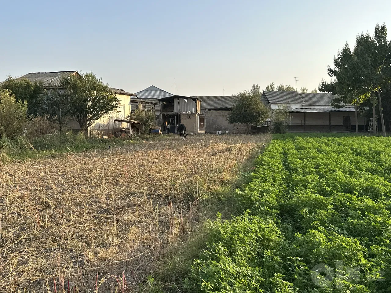 Tashkent Region, Nurafshon