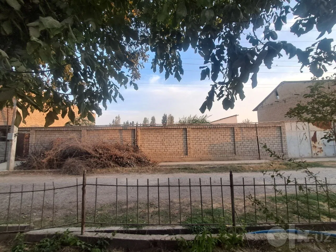 Toshkent viloyati