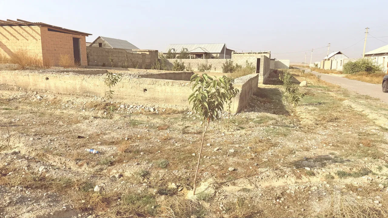 Fergana Region, Fergana