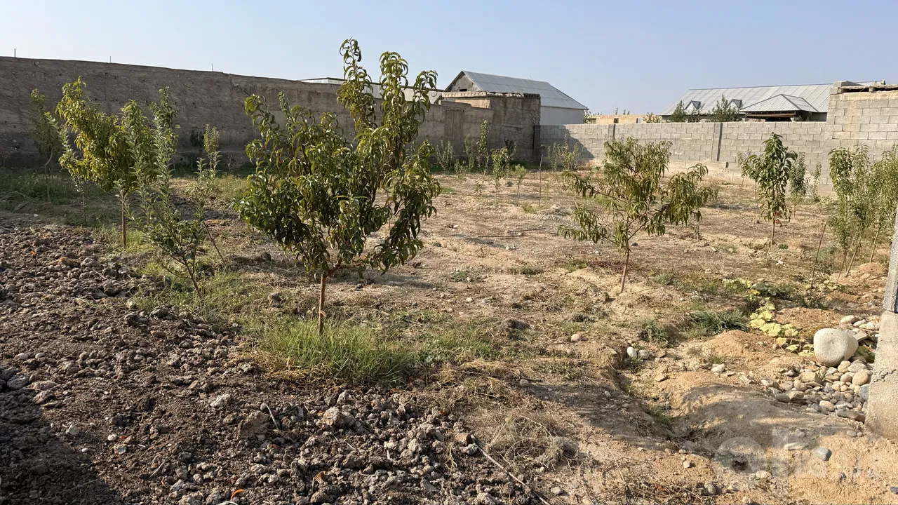 Fergana Region, Fergana