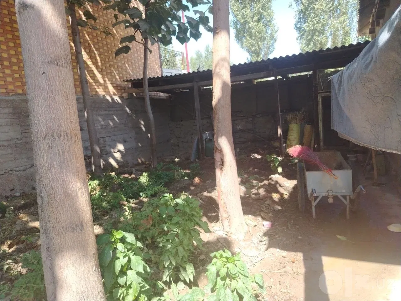 Tashkent Region, Olmaliq
