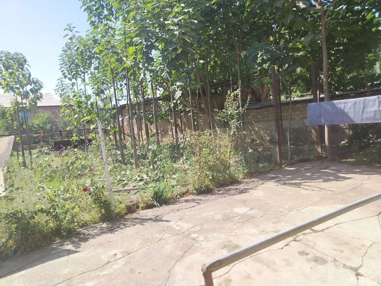 Tashkent Region, Olmaliq