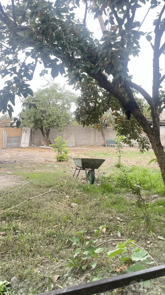 Tashkent City, Sergeli District