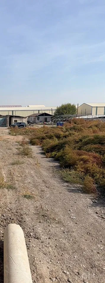 Tashkent Region