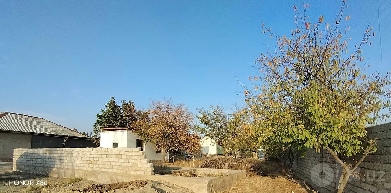 Tashkent Region