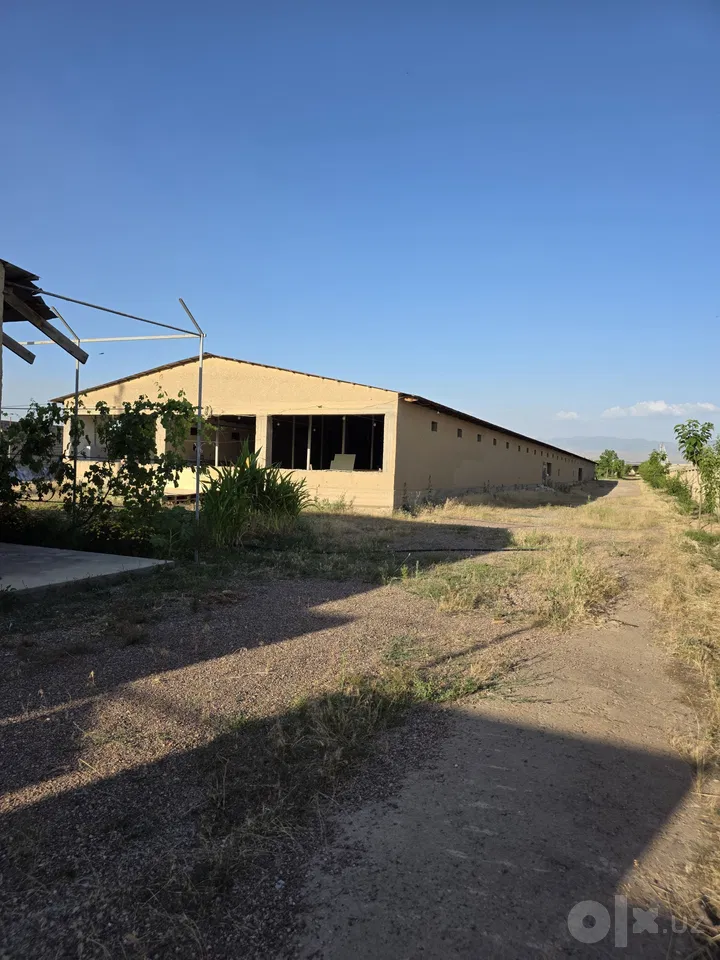 Tashkent City, Bektemir District