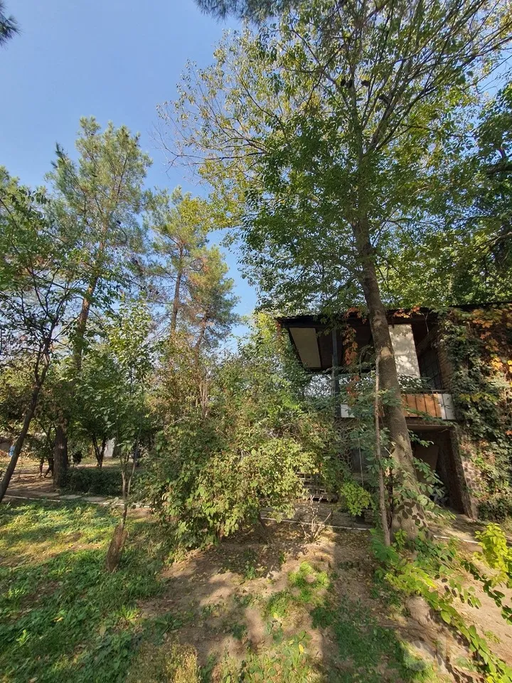 Tashkent City, Mirzo Ulug'bek District