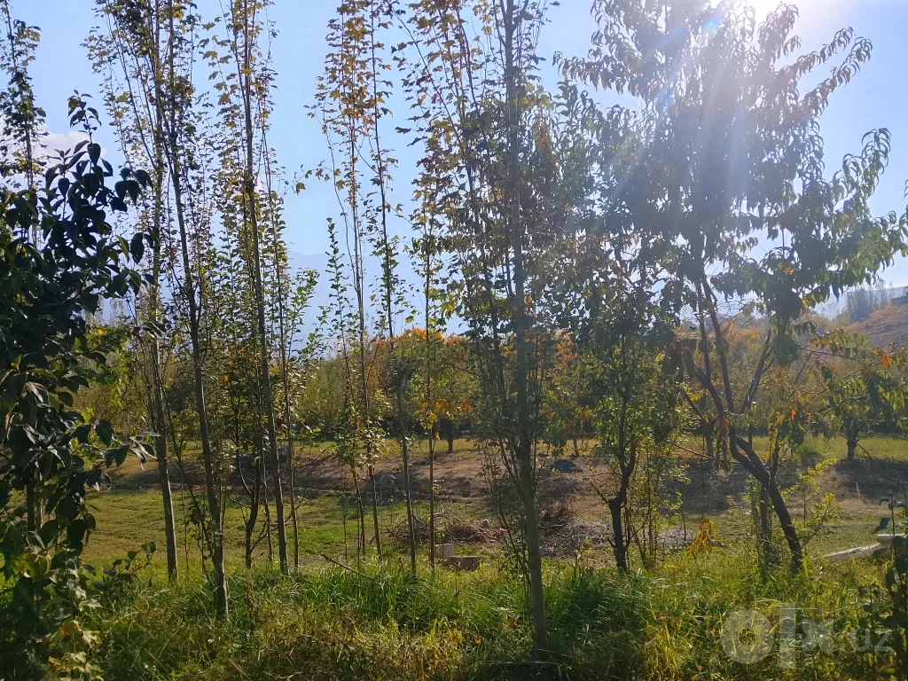 Kashkadarya Region, Shahrisabz