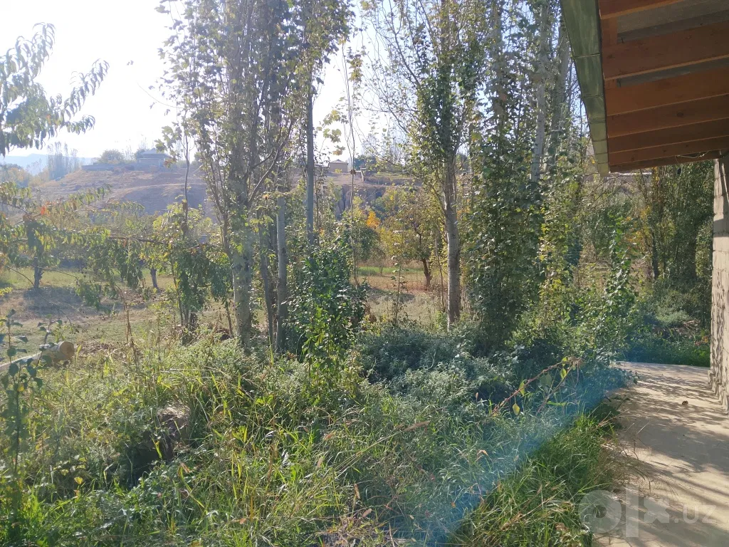 Kashkadarya Region, Shahrisabz