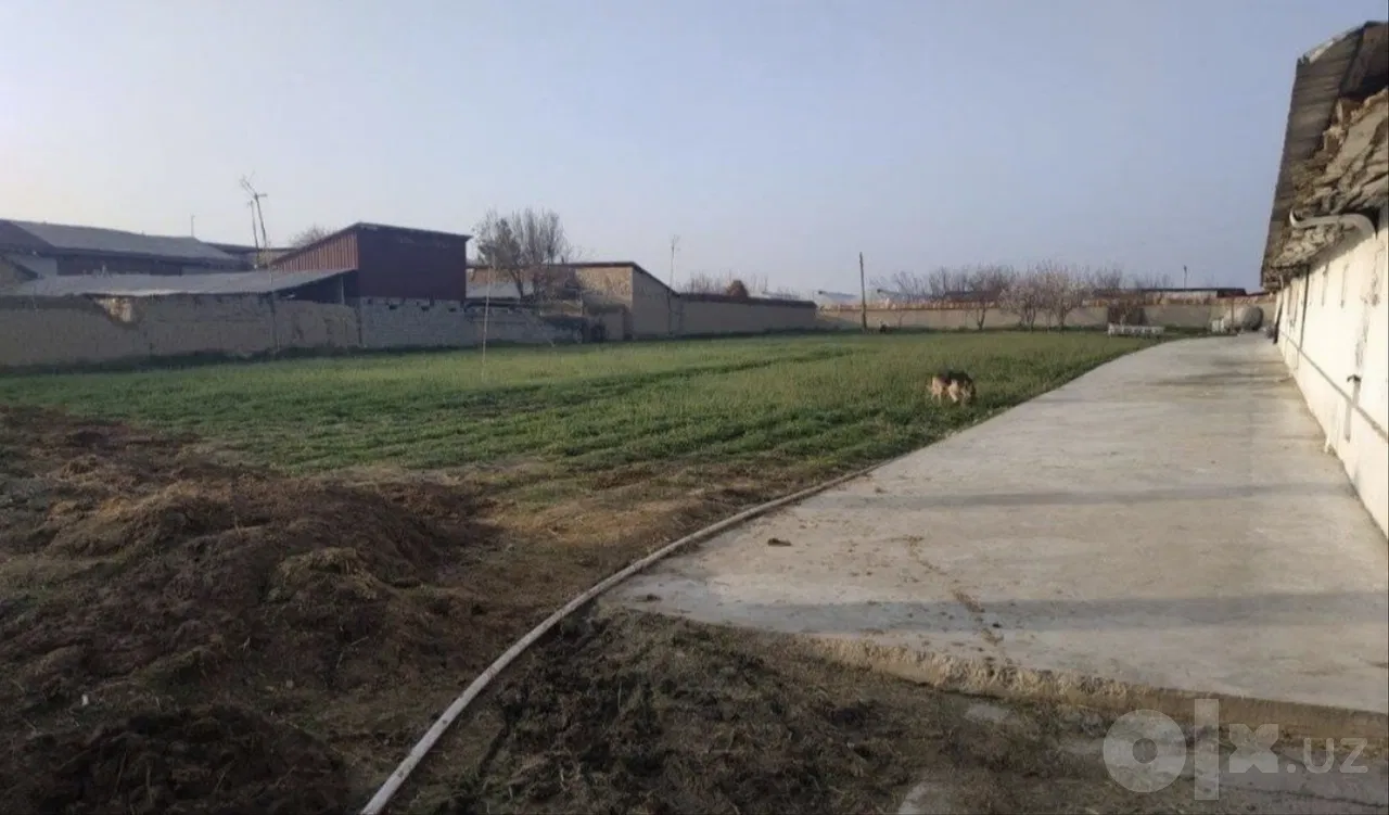 Tashkent Region, Zangiota District