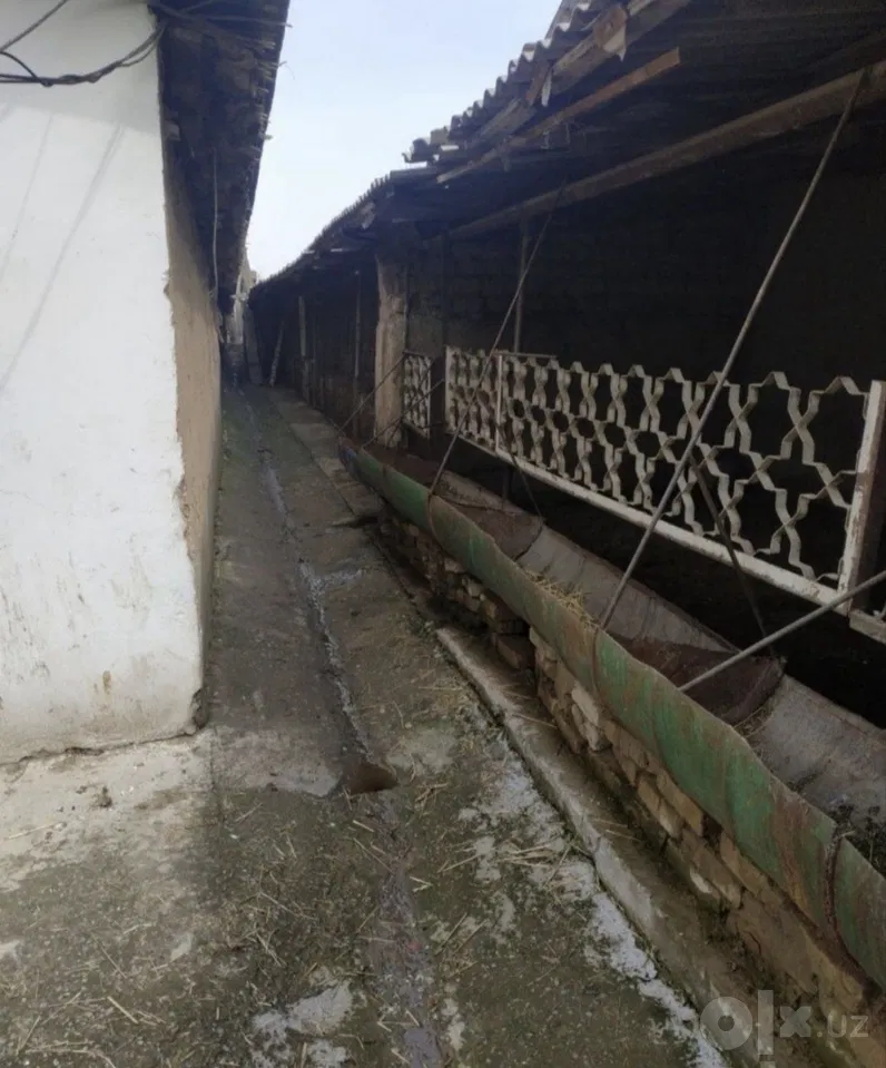 Tashkent Region, Zangiota District