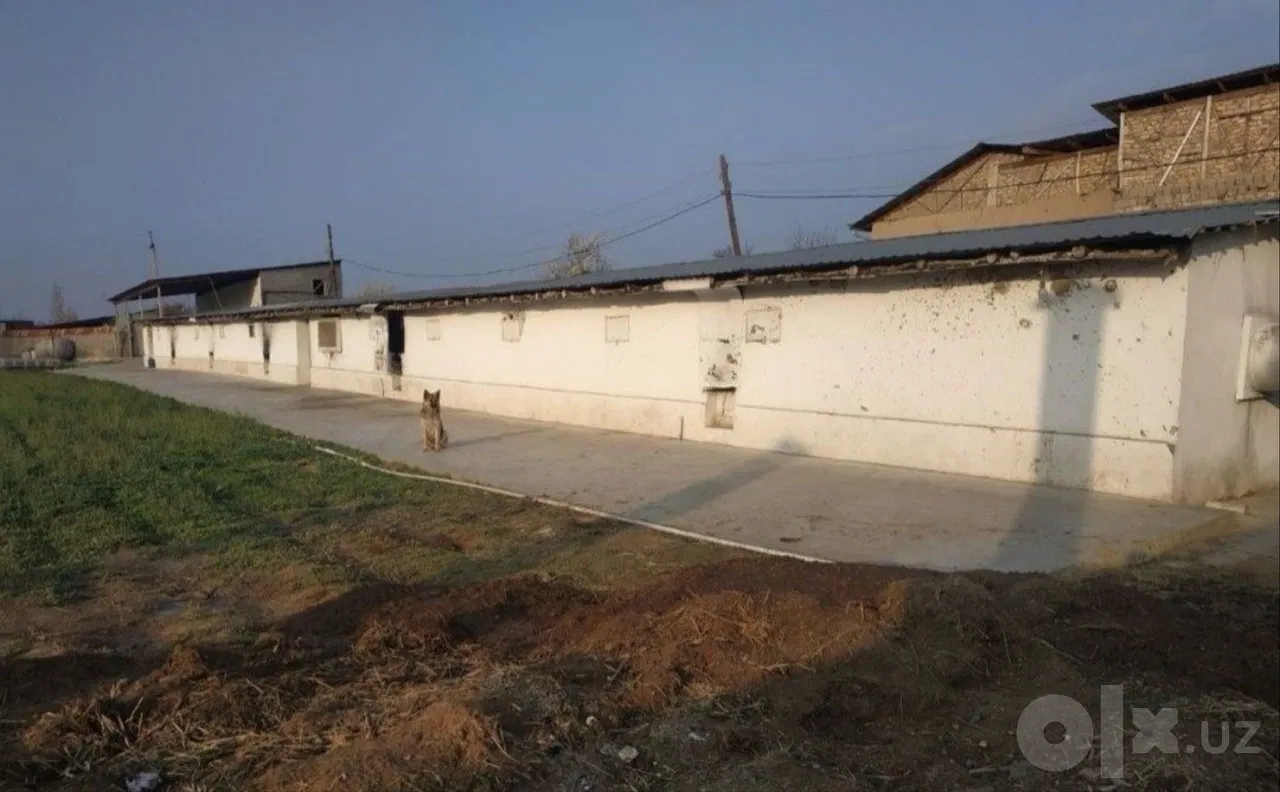 Tashkent Region, Zangiota District