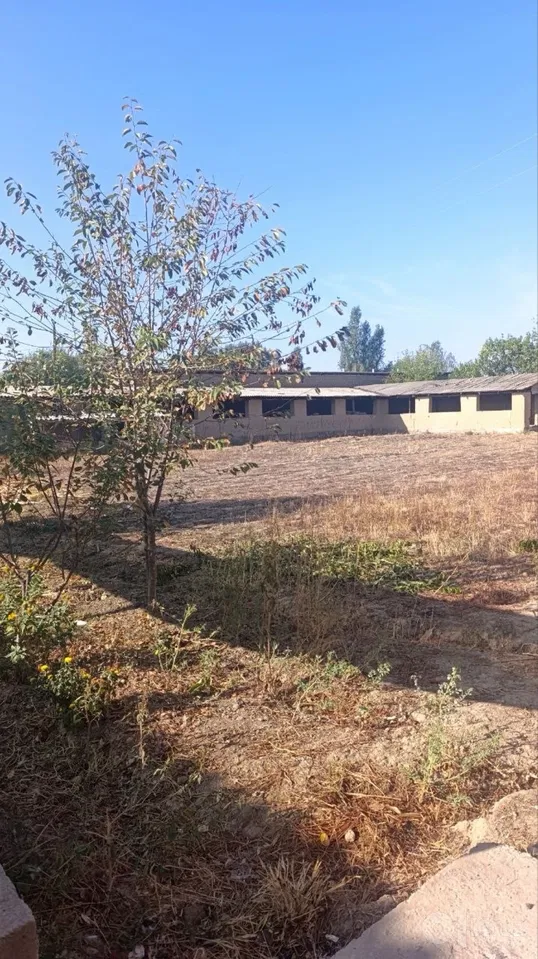 Tashkent City, Mirobod District