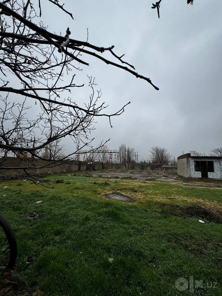 Tashkent Region