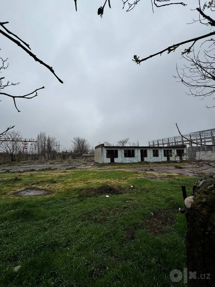 Tashkent Region