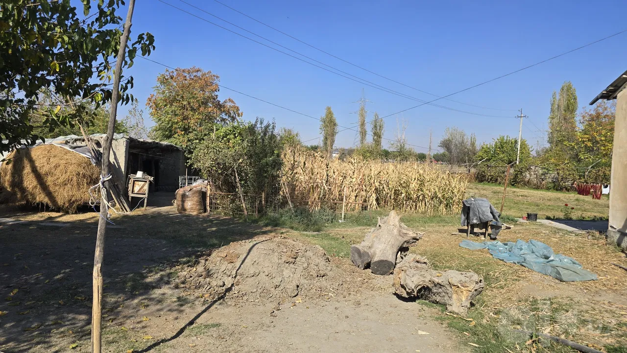 Samarkand Region, Jomboy District