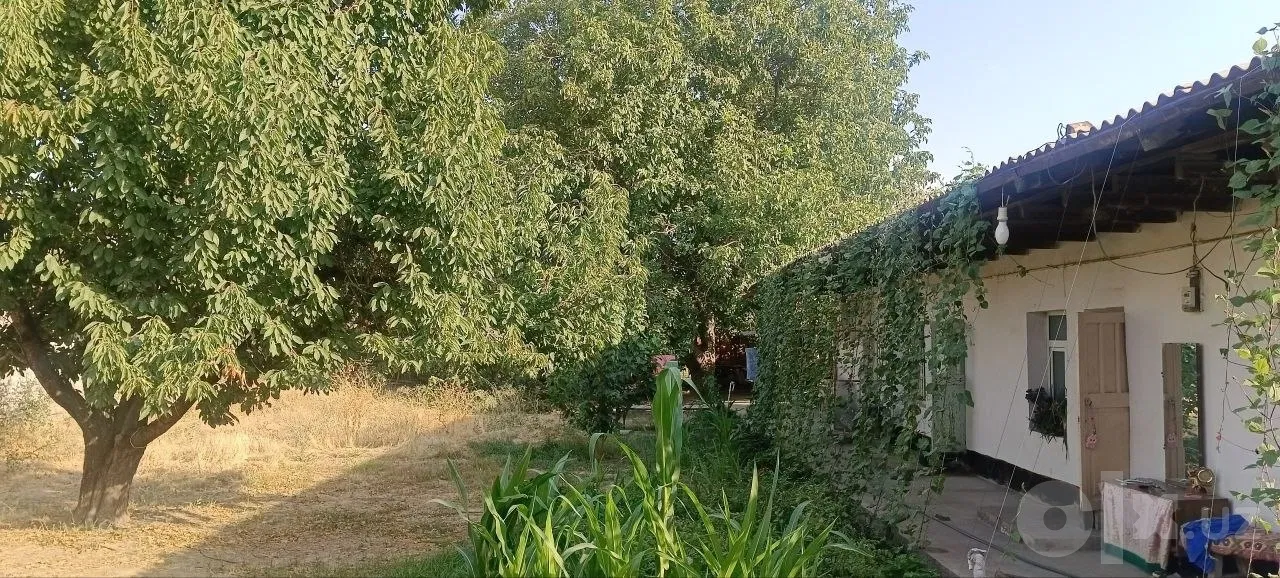 Tashkent Region, Qibray District
