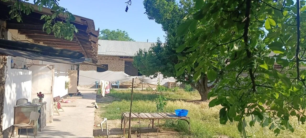 Tashkent Region, Qibray District