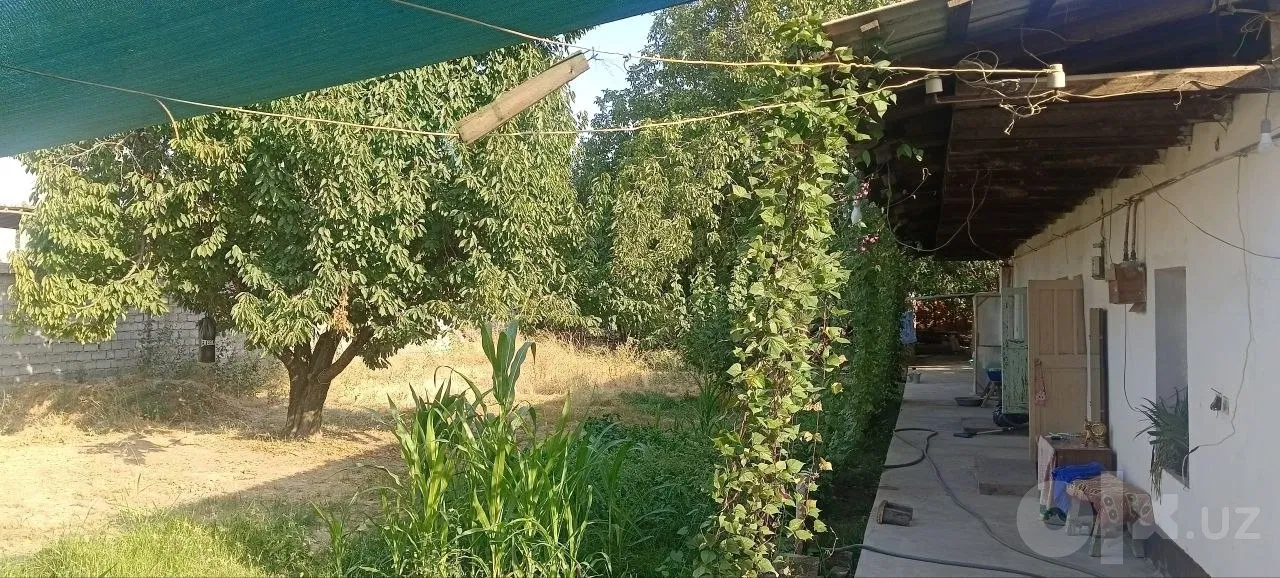 Tashkent Region, Qibray District