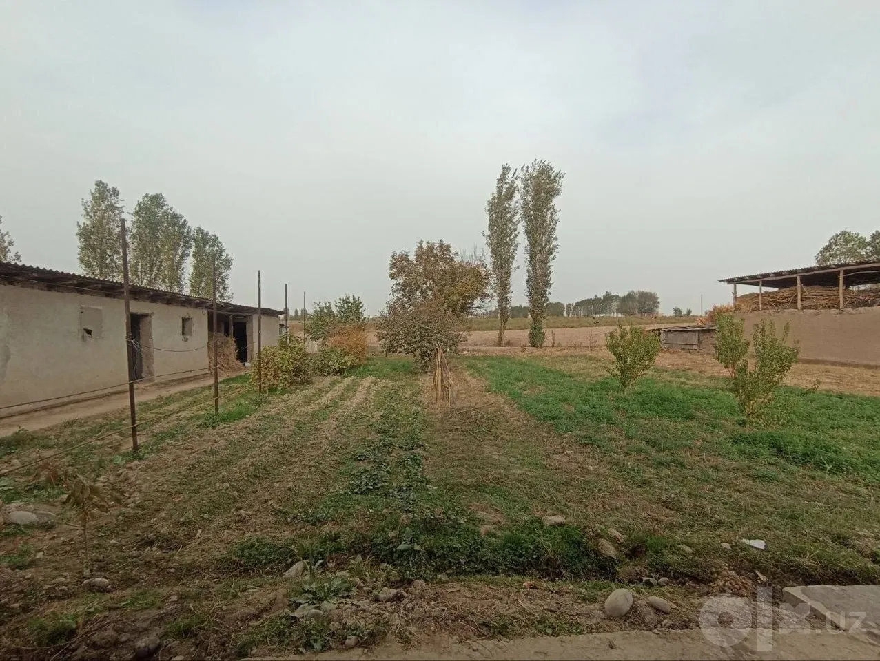 Tashkent Region, Yangiyo'l